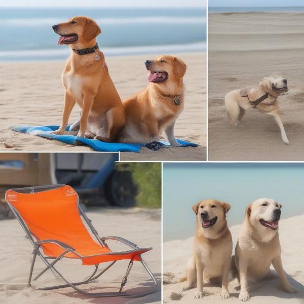 Benefits of a dog beach chair