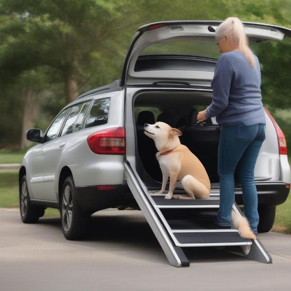 Benefits of using a dog ramp