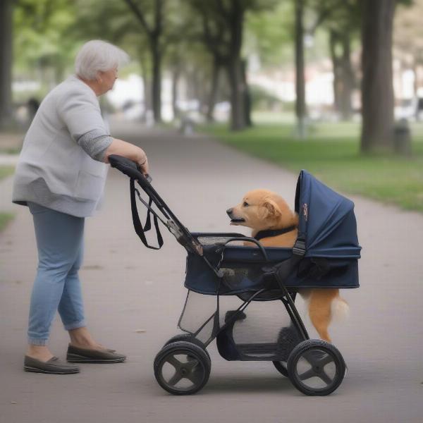 Benefits of a 3 Wheel Dog Stroller