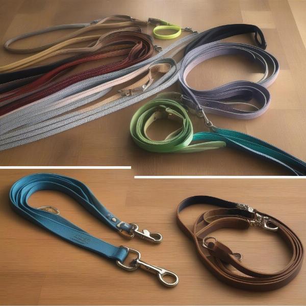 Variety of Long Dog Leads in the UK