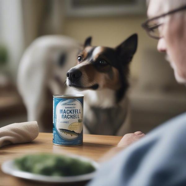 Canned mackerel in oil is not the healthiest option for dogs due to its high fat content.