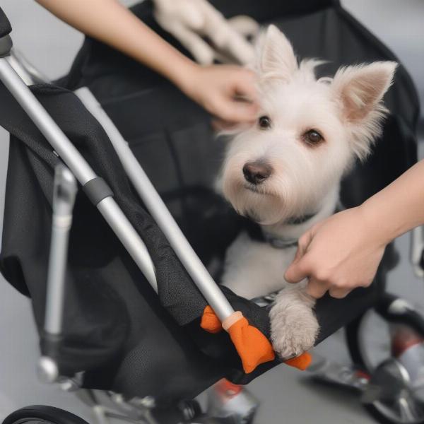 Maintaining your dog stroller for a medium-sized dog