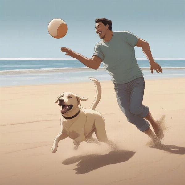 Man Playing Fetch with Dog on Beach