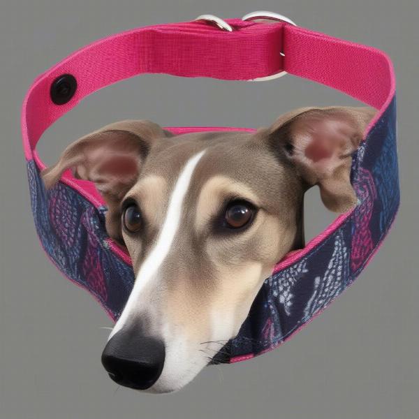 Martingale Dog Collar