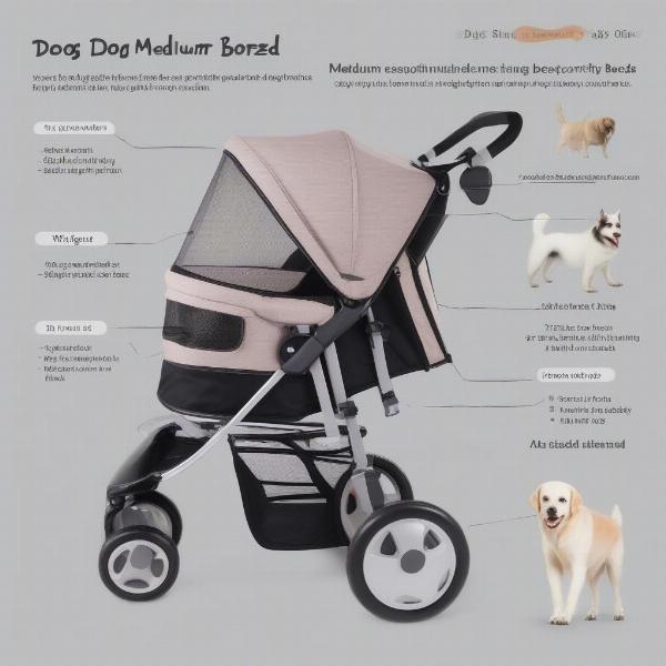 Comparing sizes of medium dog strollers