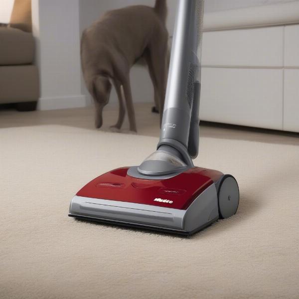 Miele C1 Cat & Dog Cleaning Pet Hair