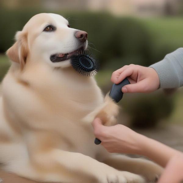 Mitt Brush for Dogs Gentle Grooming