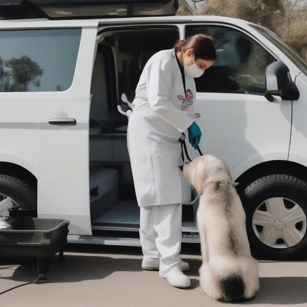 Mobile dog grooming maintains hygiene standards.