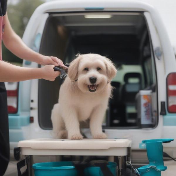 Comprehensive Grooming Services Offered by Mobile Dog Wash in Perth