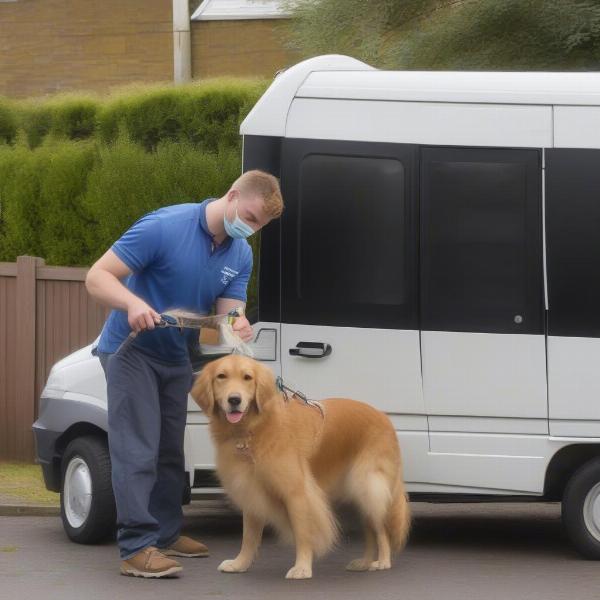 Mobile dog wash service in Wolverhampton