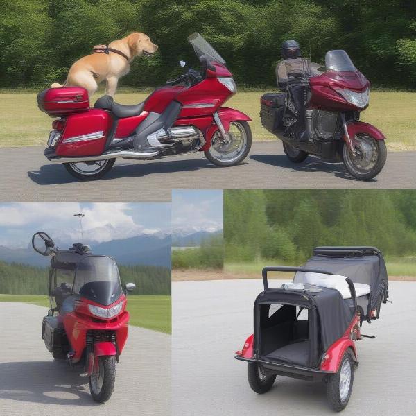 Different Types of Motorcycle Large Dog Carriers