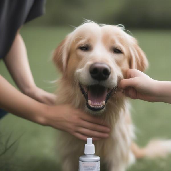 Natural Flea and Tick Spray for Dogs