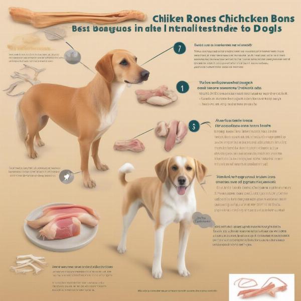 Dangers of chicken bones for dogs