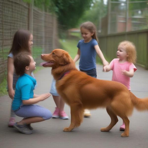 A Nova Scotia Duck Tolling Retriever playing gently with children.