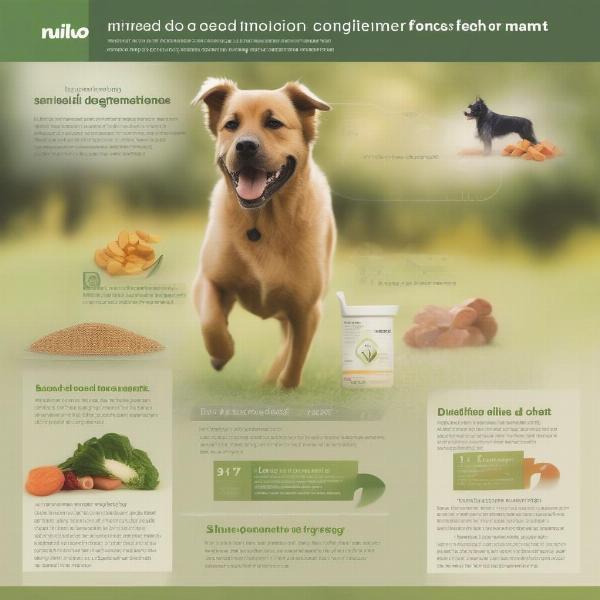 Benefits of Nulo Small Breed Dog Food