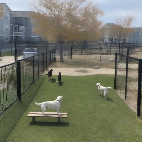 Fenced dog park area in Ocean City