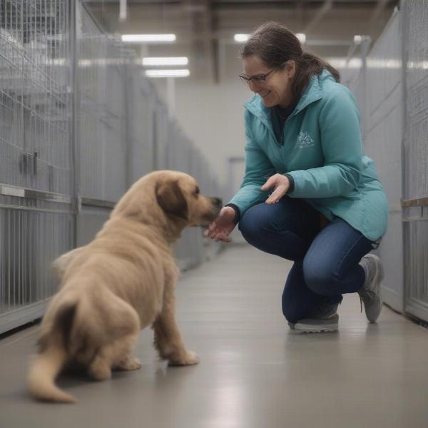 Meeting a puppy at an Omaha dog breeder