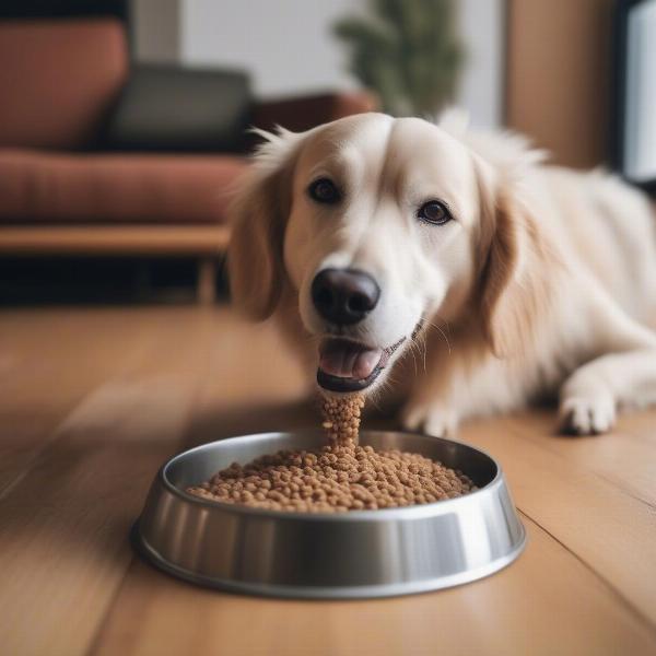 Benefits of Organic Wet Dog Food