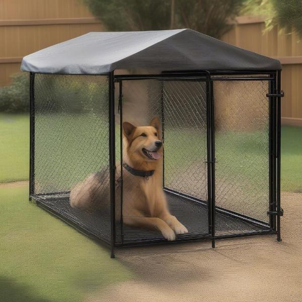 Setting Up a Secure Outdoor Dog Kennel