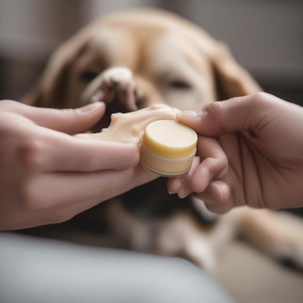 Applying Paw Butter to a Dog's Paw