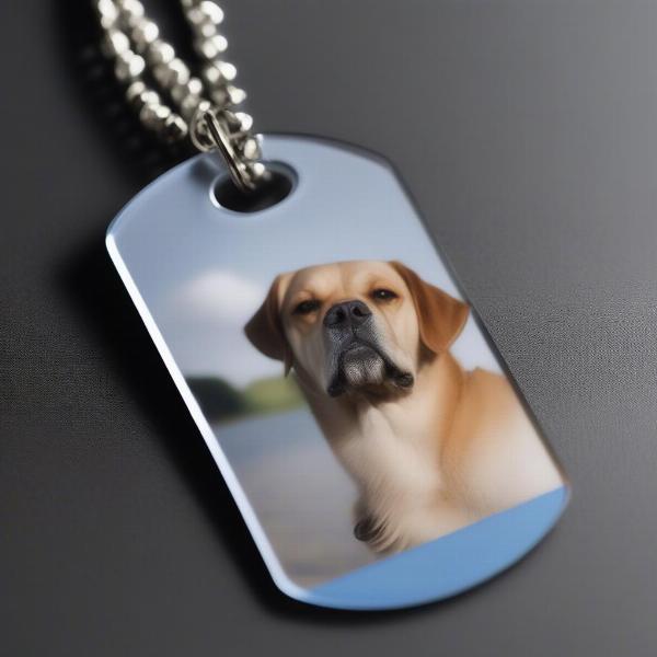 Personalized Acrylic Dog Tag with Photo