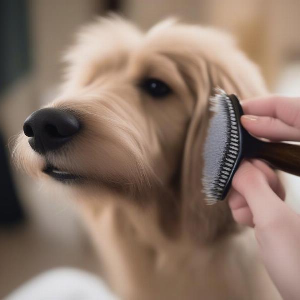 Pin Brush for Double Coated Dogs