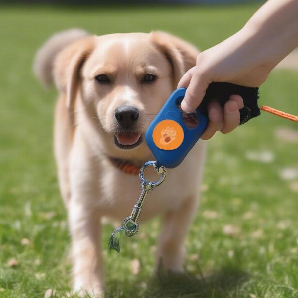 Poop bags dispenser attached to leash