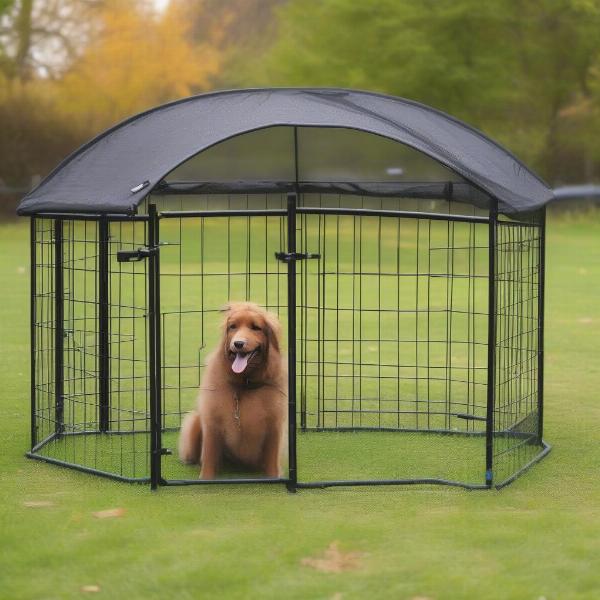 Portable Dog Fence in Backyard