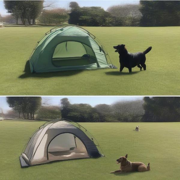 Portable Dog Runs in New Zealand