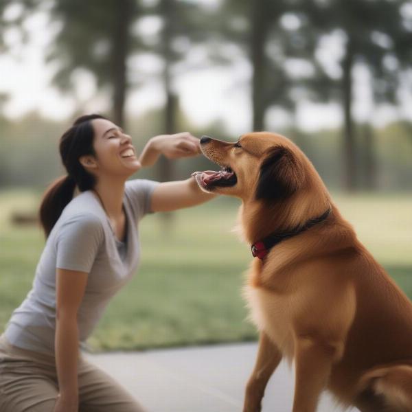 Dog receiving a treat during training