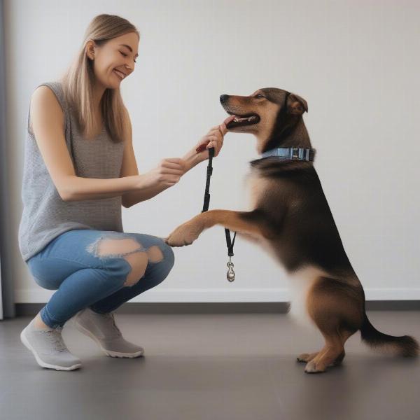 Positive Reinforcement During Dog Positioning