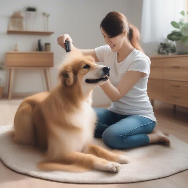 Getting Your Dog Ready for Grooming in Wexford