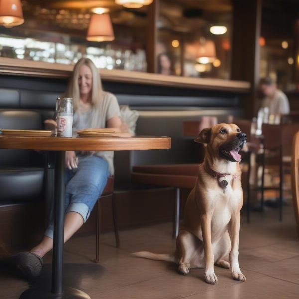 Dog-friendly indoor dining in Prescott