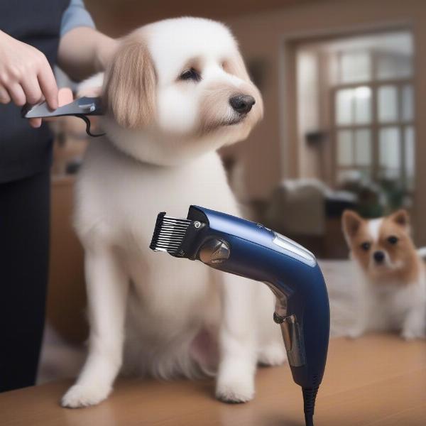 Professional Dog Grooming Clippers in Action