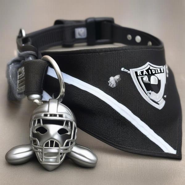 Raiders dog accessories