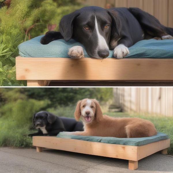 Are Raised Dog Beds Suitable for All Dogs?