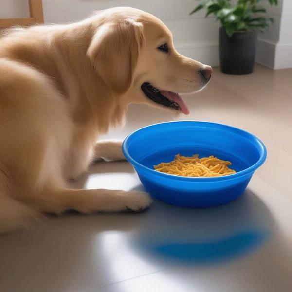 Benefits of Using a Rubber Dog Bowl