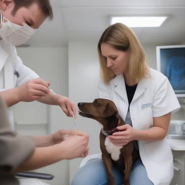 Safe Deworming Practices for Expecting Canines