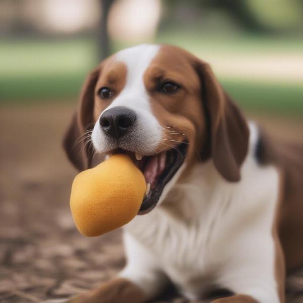 A dog playing safely with a potato toy