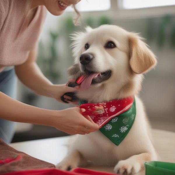 Preparing for a Santa Dog Photo Shoot