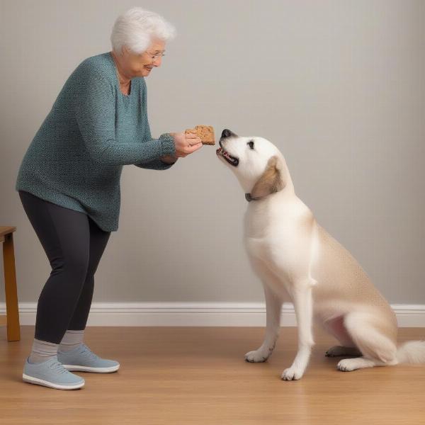 Senior Dog Exercises