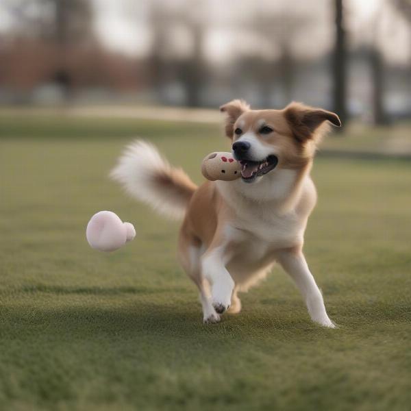 Senior Dog Enjoying Playtime