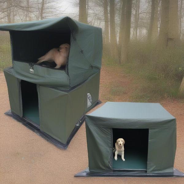 Step-by-step guide on setting up a canopy with a dog box