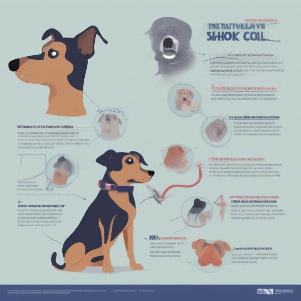 Potential Risks of Using Shock Collars for Dog Training