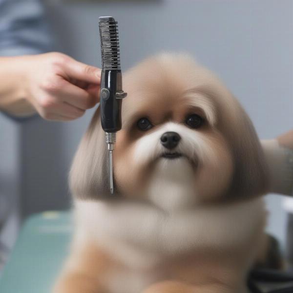 Dog being groomed with silent clippers