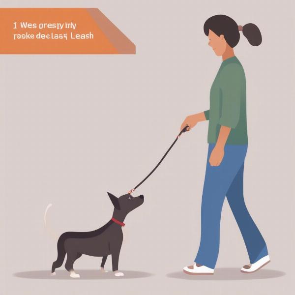 Training a Small Dog to Walk on a Leash