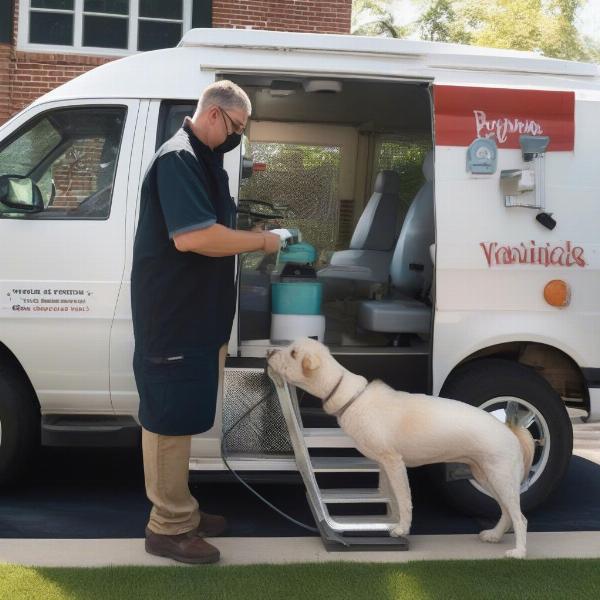 Mobile Dog Grooming in Smyrna