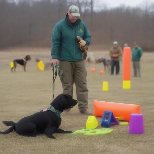 Snell gun dog training tools like dummies, whistles and retrieving bumpers.