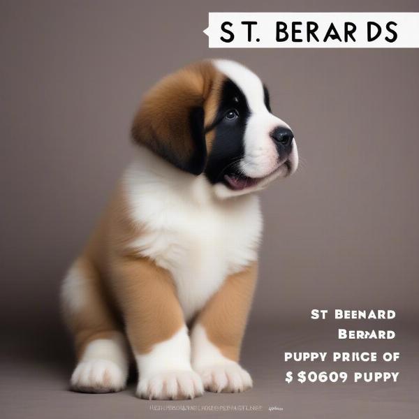 St. Bernard Puppy Price Range