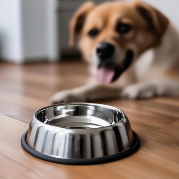 Stainless steel dog bowl